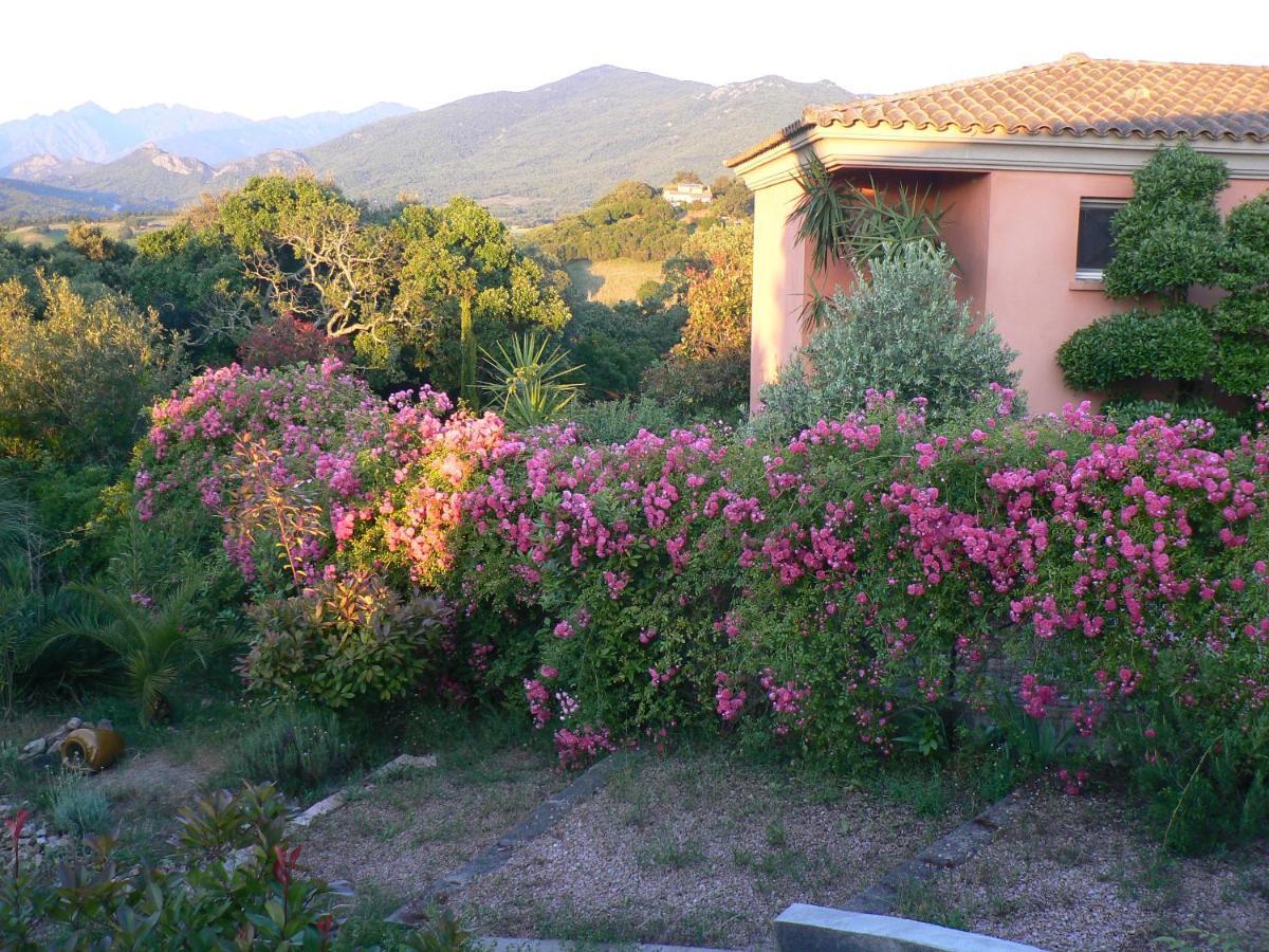 Chambre d'hote Casa Tozza Porticcio  Exterior foto